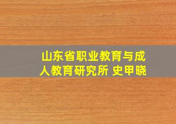 山东省职业教育与成人教育研究所 史甲晓